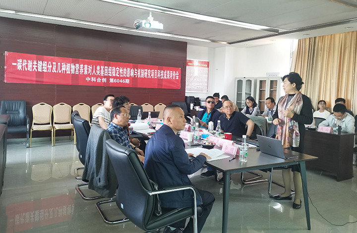 一碳代谢关键组分及微营养素在人类基因组损伤与修复中的作用机制 anli.jpg